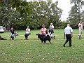 img 024